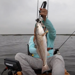 Matagorda mud donkeys on Micro Topwaters, Kayak fishing Texas