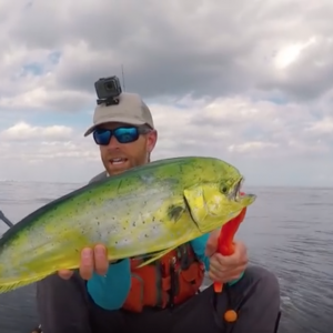 Kayak Fishing for Sailfish & Mahi Mahi Offshore | Field Trips Florida