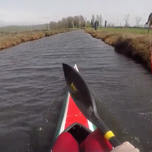 Wake Kayaking with horse