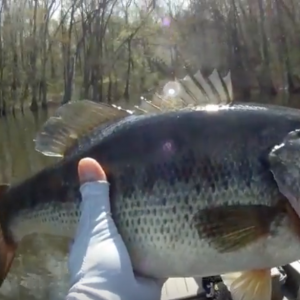 Kayak Fishing -Finally Beat My PB! -My Biggest Bass Yet