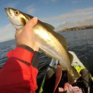 How to catch fish from a kayak .