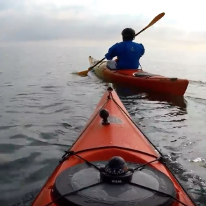 Coquet Island - Northumberland Coast Sea Kayaking