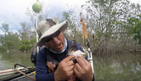 Beginners Guide to Catching A Florida Keys Tarpon #3 - All About The Bait
