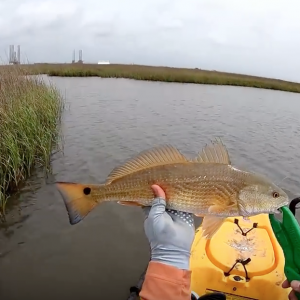 Marsh fishing for redfish on the kayak