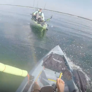 Shark SLAMS into my kayak (hobie compass)