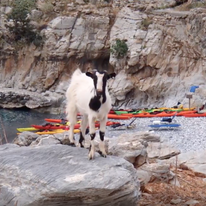 Crete Sea Kayaking and camping with Explora Expeditions May 2018