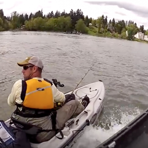 Kayak Fisherman hit by Boat