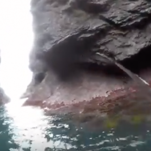 Sea Kayaking Toll Gates - Australia sea kayaking