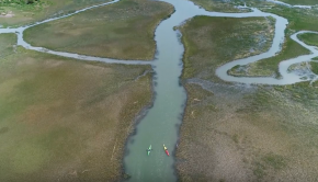 Kayaking Through the Eastern Shore - Wanderlove