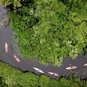 Kayaking Snake River with RICKA