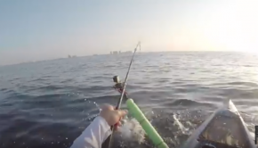 Kayak Offshore Fishing- Tiger Shark Tries to eat my Snapper!!!!
