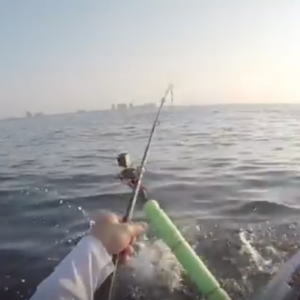 Kayak Offshore Fishing- Tiger Shark Tries to eat my Snapper!!!!
