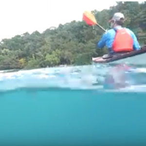 Paddling in Jamaica | Exploring the Blue Lagoon by Sea Kayak