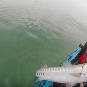 Finally Got It. Mission Acomplished.