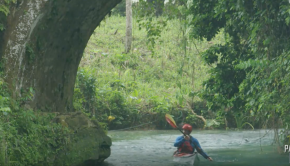 Paddling in Jamaica | Kayaking the White River in Ocho Rios