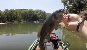 Kayak Bass Fishing w/ GIANT Swimbaits in a Creek!!!