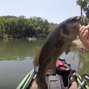 Kayak Bass Fishing w/ GIANT Swimbaits in a Creek!!!