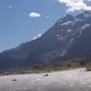 Bear charges at kayaker in river near Squamish, B.C.