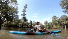 SparkleBerry Swamp Summer Kayaking