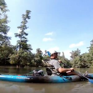 SparkleBerry Swamp Summer Kayaking
