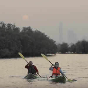 Kayaking through Abu Dhabi's secret wilderness