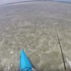 Windy Windy Days Days. Blowing 20's Still Fishing