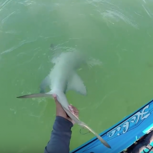 Florida Keys Windy Day Fishing #1 – The Basics