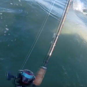 HAMMERHEAD SHARK vs. KAYAK FISHERMAN (NEAR MISS ATTACK)