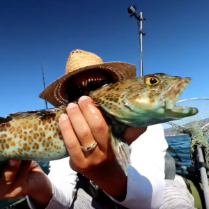 Spikey Fish Popped My Raft ... Time for a Kayak??