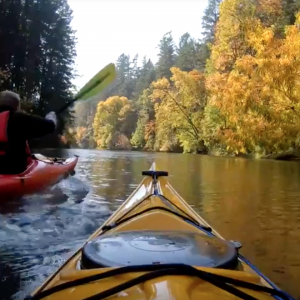 Fall Kayaking - Willamette Narrows