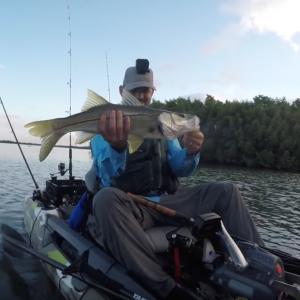 Amazing Giant Cuda and Snook Kayak Fishing FeelFree Dorado Biscayne Bay