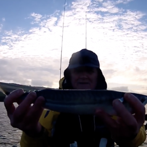 Kayak Fishing - Winter Mackerel, Herring, and a Few More
