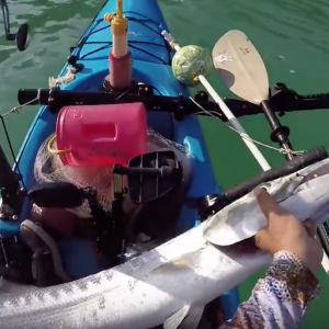 2 Fish 90 Inches Total + 20 Redfish