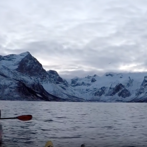 KEKE boss kayaking with whales