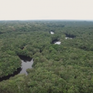 Kayak Fishing for Peacock Bass in the Amazon | Part 1
