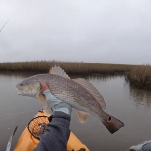 !!!BEST FISHING EVER!!! and it wasn't because of a fish, Kayak Fishing Texas