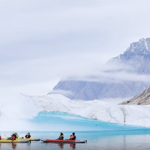 Greenland by Kayak: An Immersive Wilderness Experience