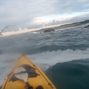 Kayak fishing in the Chatham's. (WARNING - F Bombs)