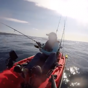 Chased by a Deadly SEA SNAKE (Ocean Kayak Fishing)