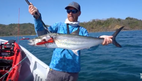 Big Mackerel EXPLODES on Topwater in Panama