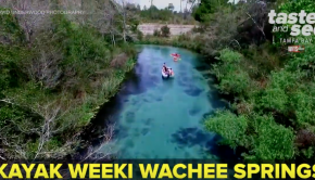 Weeki Wachee Springs: Kayaking Crystal-Clear Blue Water | Taste and See Tampa Bay