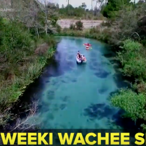 Weeki Wachee Springs: Kayaking Crystal-Clear Blue Water | Taste and See Tampa Bay