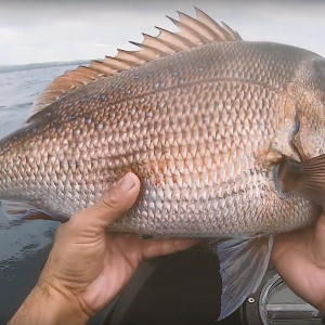 A Morning Full Of Surprises!