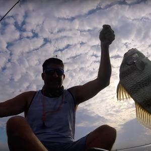 Targeting Redfish, Trout and Drum