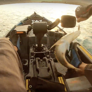 Kayak Fishing Mauritius