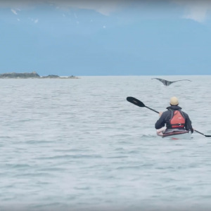 The TRAK Kayak Difference