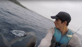 Catching Dorado on a kayak