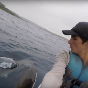 Catching Dorado on a kayak