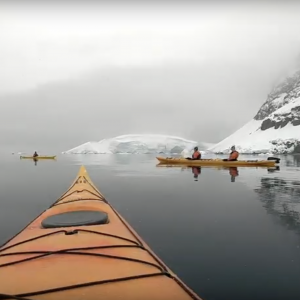 KAYAKING IN ANTARCTICA WITH WHALES