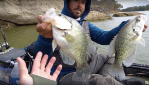 How To Catch & Cook CRAPPIE